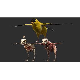 Goldfinch Fur Anatomy 3D